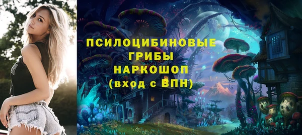 гашик Алексин