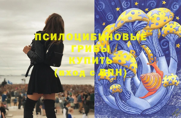 СК Алзамай