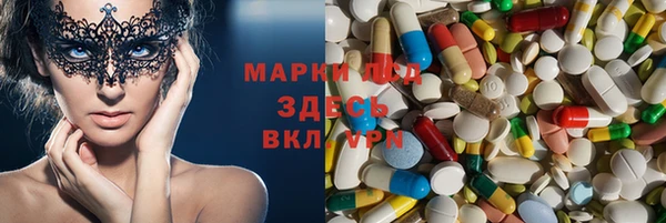 гашик Алексин